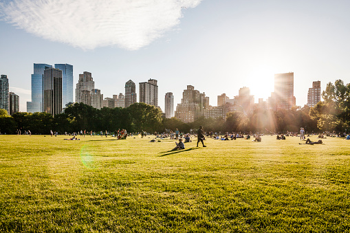 Manhattan skyline, view  from the Sheep Meadow, Central Park, New York City. People relaxing ath the grass at evening. 