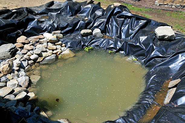 Man-Made Pond Liner  mike cherim stock pictures, royalty-free photos & images