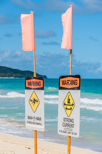 Man-o-war and strong current warning signs on Waimanalo Beach on Oahu, Hawaii