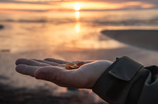 Man's hand is holding small pieces of amber on the baltic sea beach during the sunset stock photo