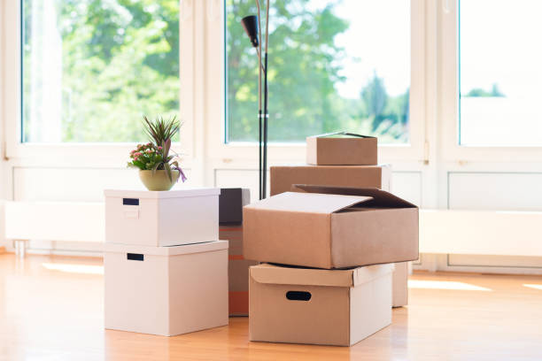Many cardboard boxes in bright house during relocation stock photo