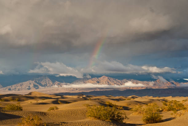 Rainbow Over Mesquite Flat Sand Dunes at Sunset Many people identify the typical desert as a vast area covered by sand dunes. That may be true in some parts of the world but in the Mojave, less than one percent of the desert is covered with sand dunes. In order for sand dunes to exist there has to be a source of sand. Also there needs to be winds to move the sands and a place for the sand to collect. The eroded canyons and washes of Death Valley National Park in California provide plenty of sand. The wind seems to blow frequently here, especially in the springtime, and there are a few areas where the sand is trapped by geographic features such as mountains. Mesquite Flats near Stovepipe Wells is one such place. This sunset picture of the sand dunes and the Grapevine Mountains was taken after a winter storm had passed and a rainbow was starting to appear. jeff goulden rainbow stock pictures, royalty-free photos & images