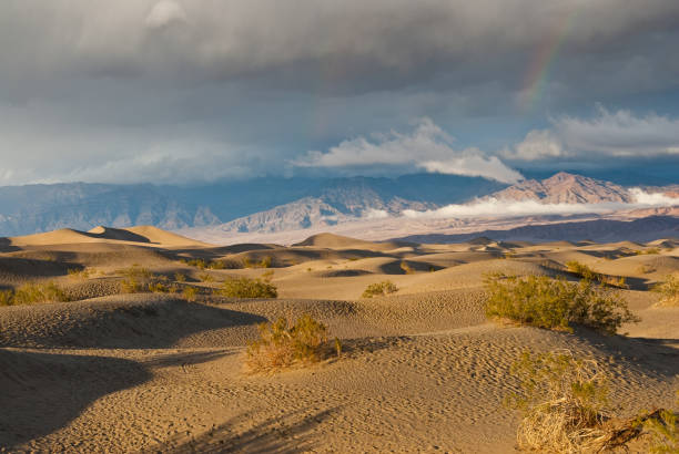 Rainbow Over Mesquite Flat Sand Dunes at Sunset Many people identify the typical desert as a vast area covered by sand dunes. That may be true in some parts of the world but in the Mojave, less than one percent of the desert is covered with sand dunes. In order for sand dunes to exist there has to be a source of sand. Also there needs to be winds to move the sands and a place for the sand to collect. The eroded canyons and washes of Death Valley National Park in California provide plenty of sand. The wind seems to blow frequently here, especially in the springtime, and there are a few areas where the sand is trapped by geographic features such as mountains. Mesquite Flats near Stovepipe Wells is one such place. This sunset picture of the sand dunes and the Grapevine Mountains was taken after a winter storm had passed and a rainbow was starting to appear. jeff goulden rainbow stock pictures, royalty-free photos & images