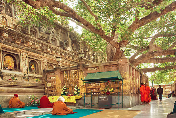 Many prayers sitting around the Bodhi tree stock photo