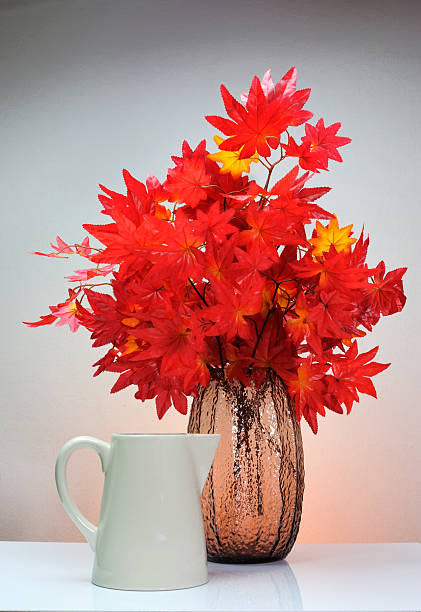 Maple vase  vudhikrai stock pictures, royalty-free photos & images