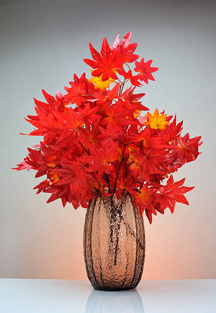 Maple vase  vudhikrai stock pictures, royalty-free photos & images