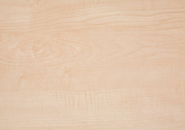 Maple woodgrain texture stock photo