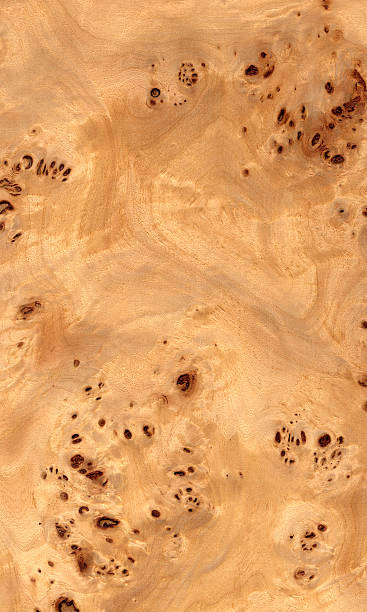 Mappa Burl - Wood Texture Series stock photo