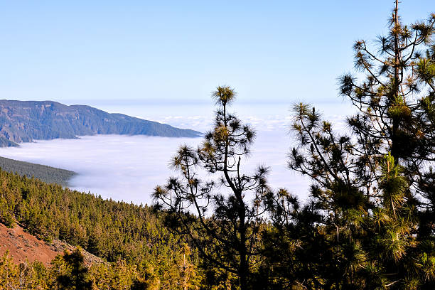 Mar de Nubes, Sea Cloud on the High Mountains Phenomenon in Tenerife,...
