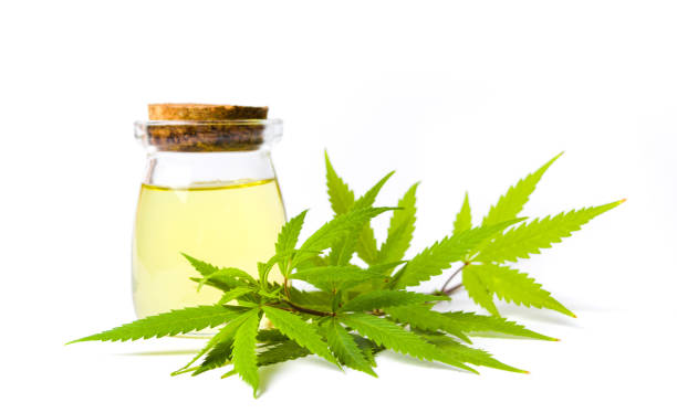 marijuana and cannabis oil bottle isolated picture id862309656?k=6&m=862309656&s=612x612&w=0&h=f81j4XRWZrDrygxE 90qQgROdmF08ShC1isCkeoE3ns= - What No One Knows About