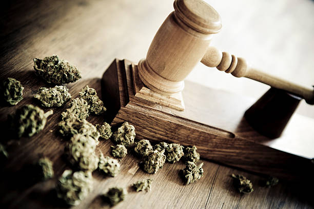 Marijuana and criminallity Gavel and marijuana. Concept about drug vs justice. cannabis narcotic stock pictures, royalty-free photos & images