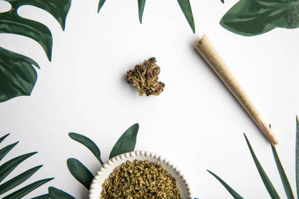 Marijuana Bud and Slanted Joint Sit on Tropical Foliage Background - Minimalist Cannabis stock photo
