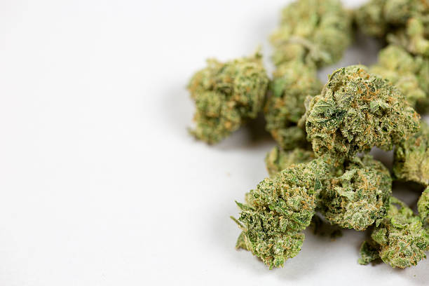 marijuana bud - knop plant stage stockfoto's en -beelden