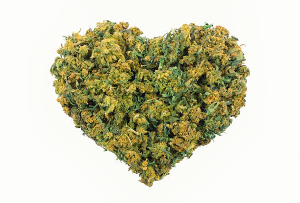 marihuana hart vorm - marihuana gedroogde cannabis stockfoto's en -beelden