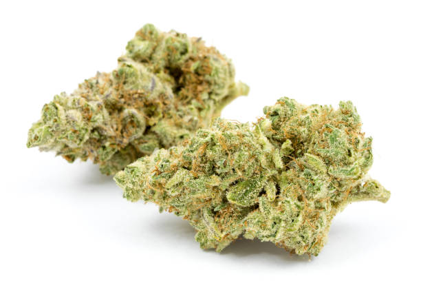 best dispensaries in denver