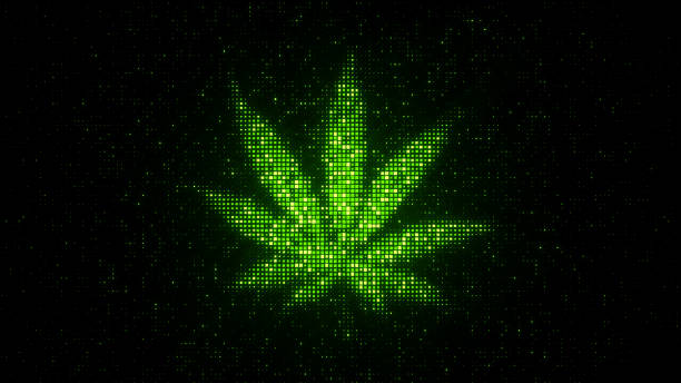 colorado cannabis dispensary