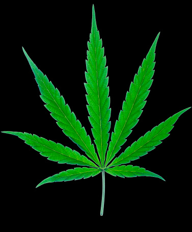 Картинки марихуаны на черном фоне скачать с офф сайта браузер тор hudra