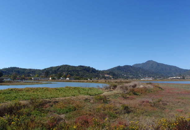 Marin County view with the calm waters of Corte Madera stock photo