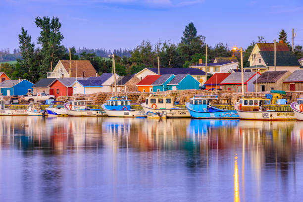 Maritime province of Prince Edward Island Docked fishing boats in Rustico Harbor at dawn on Prince Edward Island Canada crabbing stock pictures, royalty-free photos & images