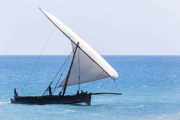 maritime vessel used throughout africa asia and middle east a strong graceful and beautiful craft on the open ocean at full sail maritime vessel used throughout africa asia and middle east a strong graceful and beautiful craft on the open ocean at full sail high in the air dhow stock pictures, royalty-free photos & images