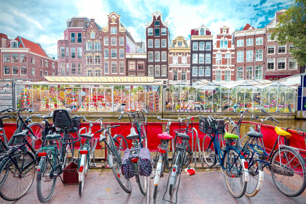 在阿姆斯特丹的花草自行車市場 - xxx shows 個照片及圖片檔