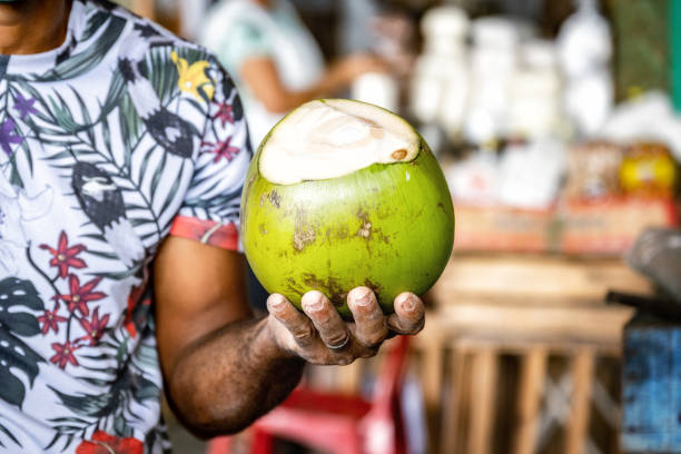 market vendor holding fresh cococnut in hids hands stock photo