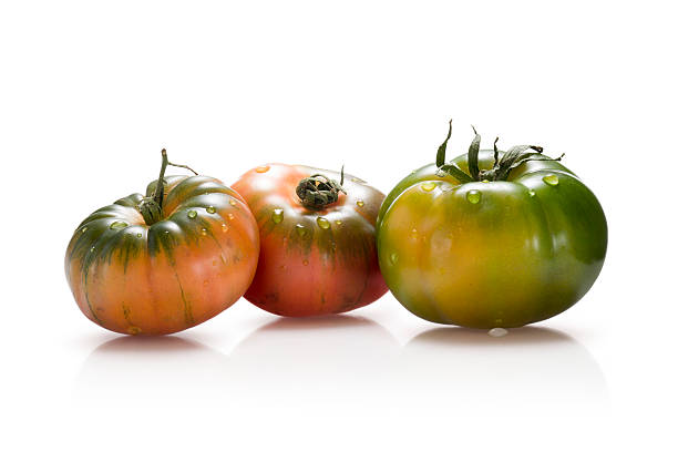 Marmonde tomatoes stock photo