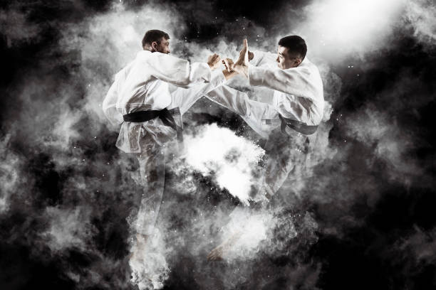 Martial arts masters, karate practice Martial arts masters, karate practice. Two male karate fighting bushido lifestyle stock pictures, royalty-free photos & images