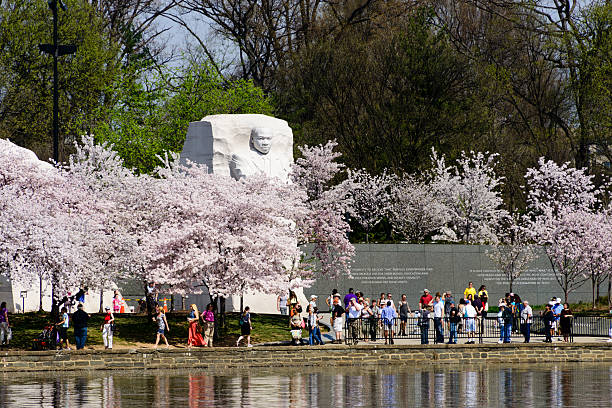 Martin Luther King, Jr. Memorial in spring Washington DC, United States - April 10, 2013: The Marting Luther King, Jr. memorial in Washington, DC.  The cherry trees surrounding the statue are in their spring bloom.  Many people are walking about around the statue and enjoying the day. mlk memorial stock pictures, royalty-free photos & images