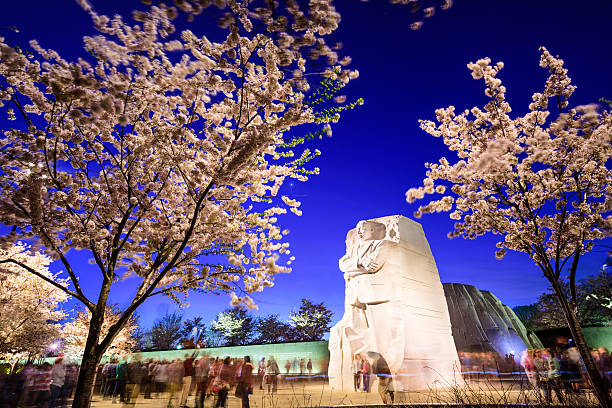 Martin Luther King Junior Memorial Washington DC, USA - April 12, 2015: Tourists gather under the Martin Luther King, Jr. Memorial in West Potomac Park. MLK Jr. is considered the most prominent leader in the African-American Civil Rights Movement. cherry blossom photos stock pictures, royalty-free photos & images
