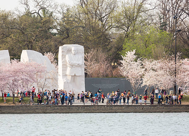 Martin Luther King Monument Washington DC Washington DC, USA - April 8, 2013: Tourists and visitors at the monument to Dr Martin Luther King in Washington DC surrounded by cherry blossoms. The memorial opened to the public on August 22, 2011 martin luther king jr photos stock pictures, royalty-free photos & images