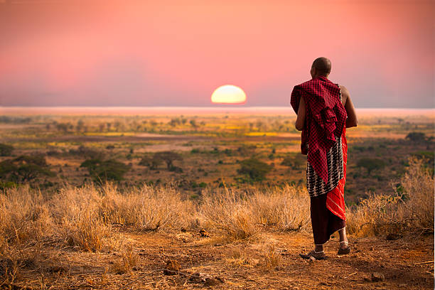 Masai warrior at sunset. Masai man, wearing traditional blankets, overlooks Serengeti in Tanzania as the colorful sunset fills the sky.  Wild grass in the forground. tanzania stock pictures, royalty-free photos & images