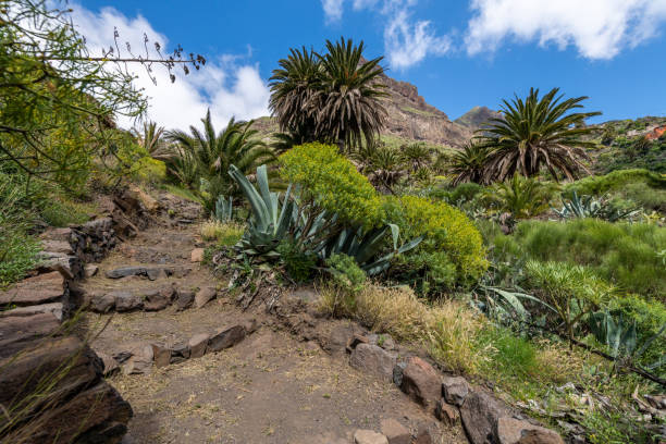 Masca Gorge footpath, Spain, Tenerife, stock photo