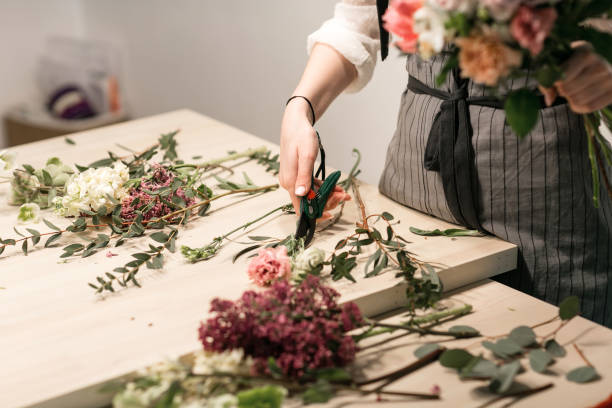 Master class on making bouquets. Summer bouquet. Learning flower arranging, making beautiful bouquets with your own hands stock photo