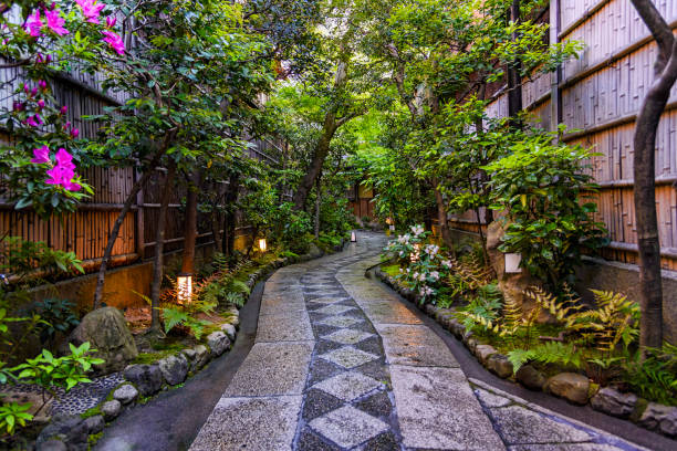 京都の masuume 御茶屋入口 - 茶室 ストックフォトと画像