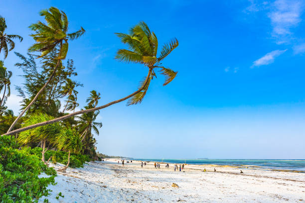 Matemwe beach, Zanzibar. Tanzania. stock photo