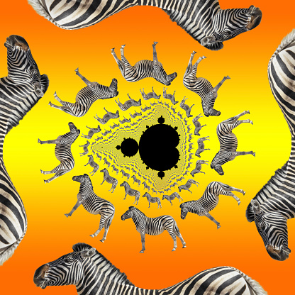 The complex Mandelbrot set lies at the heart of this fractal decomposition, which features a Burchell's zebra from Zimbabwe. Using decomposition tiling, a photo of a zebra is spun around a Mandelbrot fractal set of points. Each circle contains double the number of zebras of the one above it. Black and white stripes, orange to yellow gradient background.