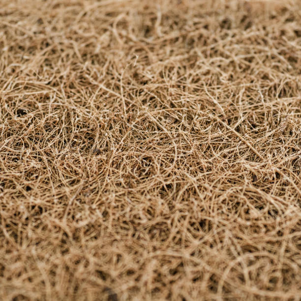 Royalty Free Coir Texture Pictures, Images and Stock Photos - iStock