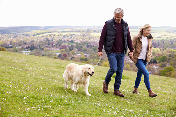 Mature Couple Taking Golden Retriever For Walk Mature Couple Taking Golden Retriever For Walk mature couple stock pictures, royalty-free photos & images