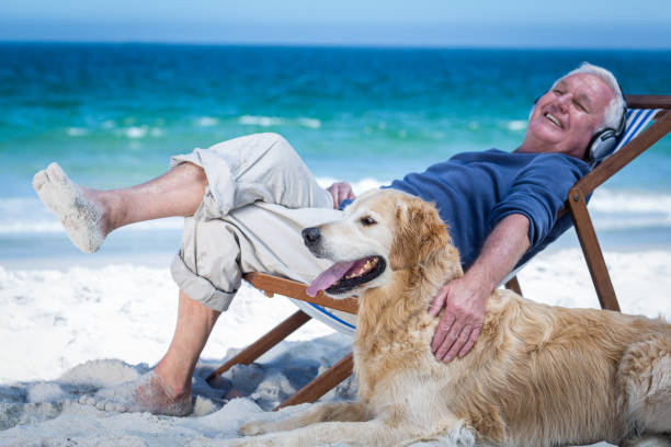 mogen man vilar på en solstol musiklyssnande klappa sin hund - senior listening music beach bildbanksfoton och bilder