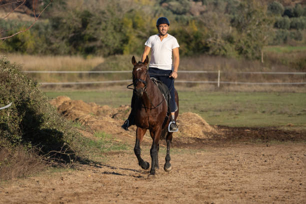 mature man ridding a horse at the ranch. - smiling earth horse bildbanksfoton och bilder