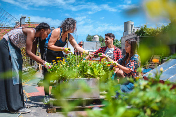 Mature Roof Gardener Working with Young Community Members Hispanic female agriculturalist examining plant growth and helping young community members understand roof gardening. community garden stock pictures, royalty-free photos & images