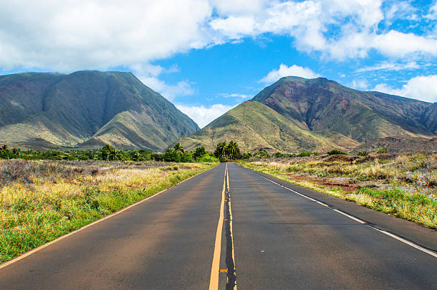 Maui road. stock photo