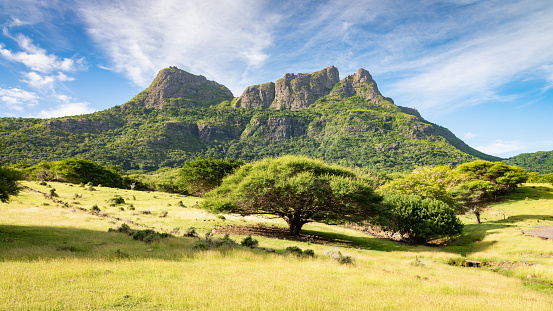 Panorama view to Montagne du Rempart - Mount Rempart Peak with green grassland and tropical trees in the foreground under blue sky. Casela, Riviere du Rempart, Montagne du Rempart, Mauritius, East Africa
