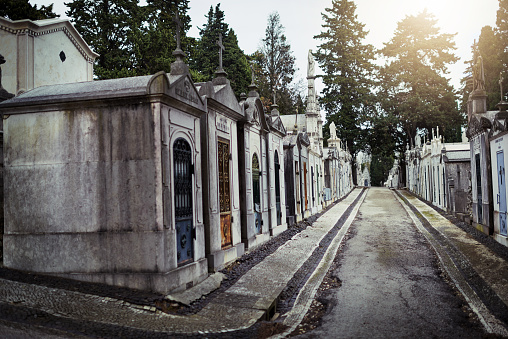 Shot of a row of graves situated next to each other inside of a graveyard outside during the day