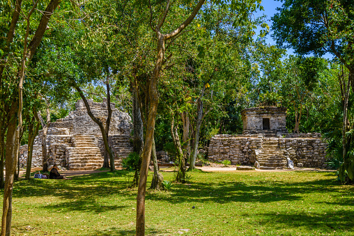 Mayan ruins in shadow of trees in jungle tropical forest Playa del Carmen, Riviera Maya, Yu atan, Mexico.
