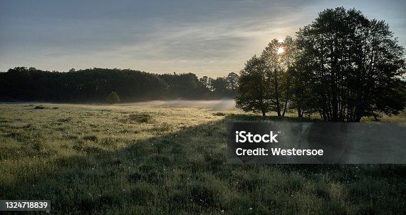 istock Meadow with light fog 1324718839