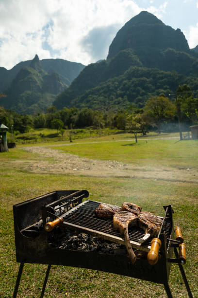 Meat barbecue (Churrasco) stock photo