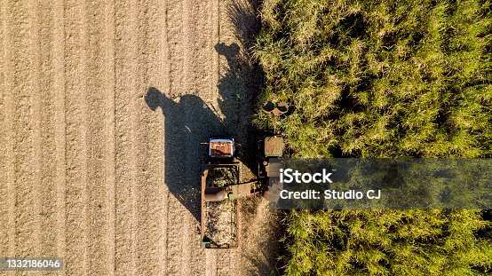 istock Mechanical harvesting of sugar cane. 1332186046