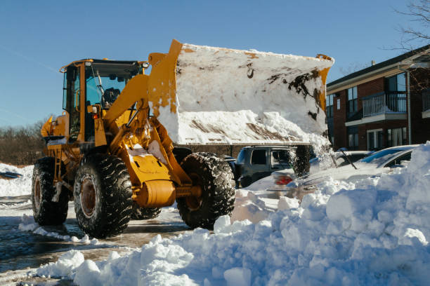 Snow Removal Contractors